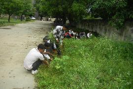 College Safai 1-9-2014 